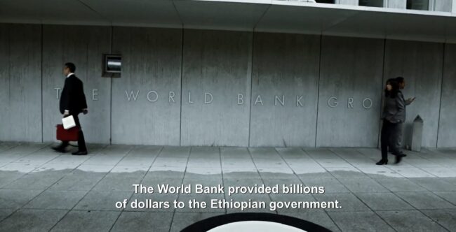 Dead Donkeys, Fear No Hyenas